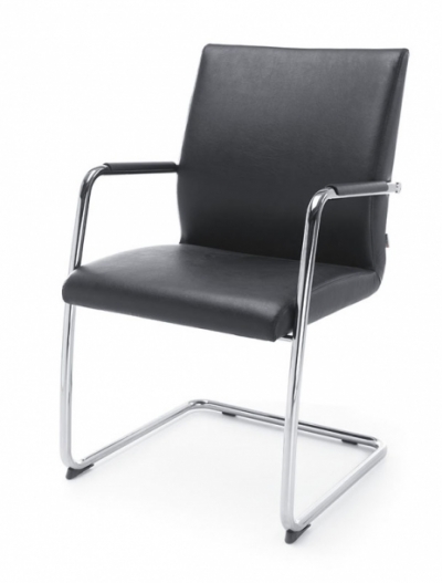 Freischwinger AS 2